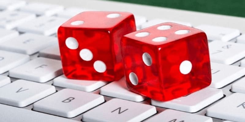 Cách chơi tài xỉu online lý do nắm bắt