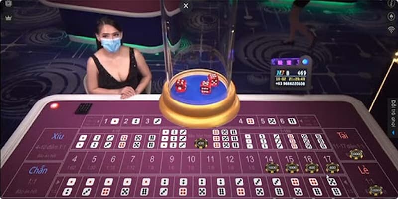 Tài xỉu livestream chiến thuật chơi